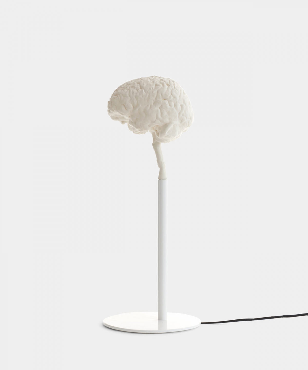 MYBrain lamp based on an MRI scan
